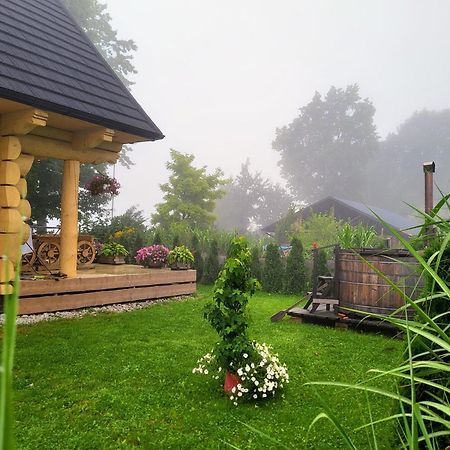 Sudecki Dym Z Kominkiem Kolo Karpacza. Agroturystyka 加诺维采威尔基耶 外观 照片