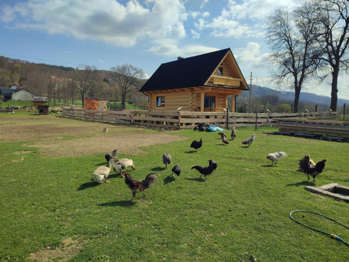 Sudecki Dym Z Kominkiem Kolo Karpacza. Agroturystyka 加诺维采威尔基耶 外观 照片