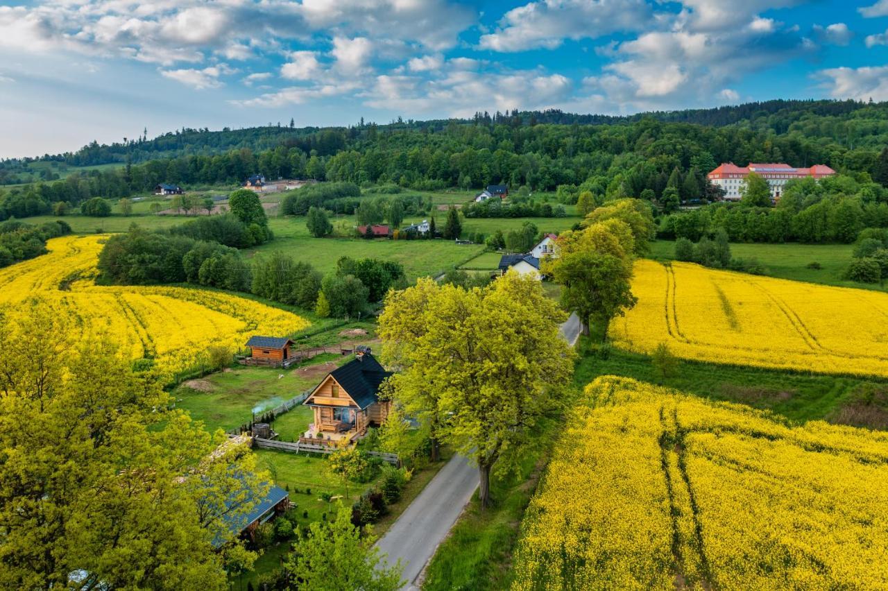 Sudecki Dym Z Kominkiem Kolo Karpacza. Agroturystyka 加诺维采威尔基耶 外观 照片