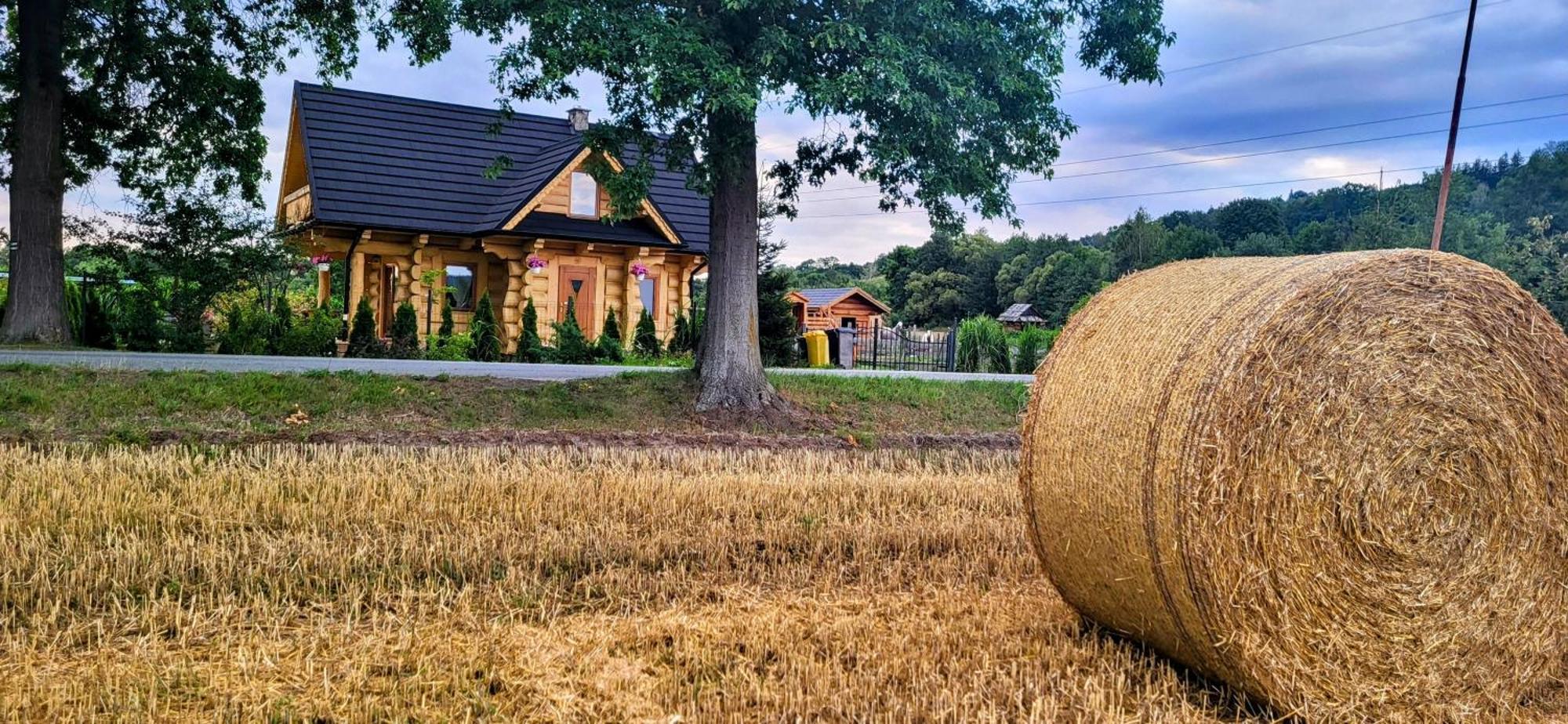 Sudecki Dym Z Kominkiem Kolo Karpacza. Agroturystyka 加诺维采威尔基耶 外观 照片